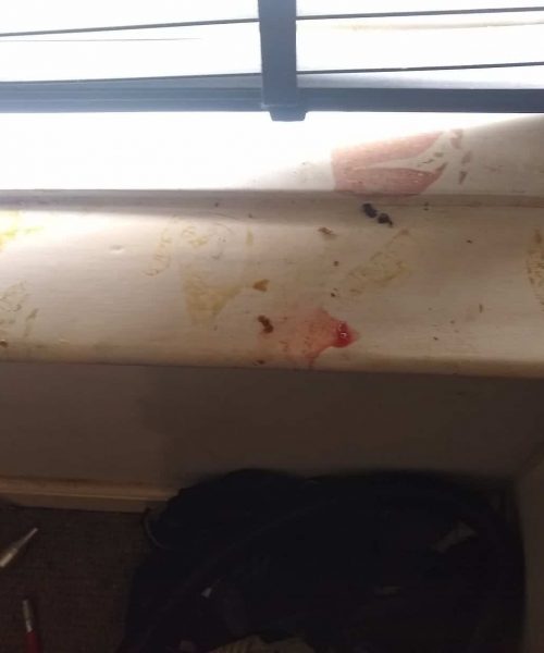 MopKings cleaning domestic commercial deep clean Leeds Huddersfield West Yorkshire